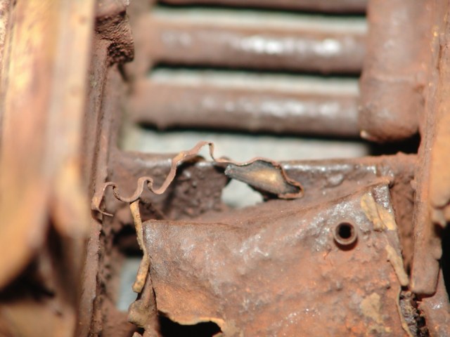 DSC02935сы (5).JPG